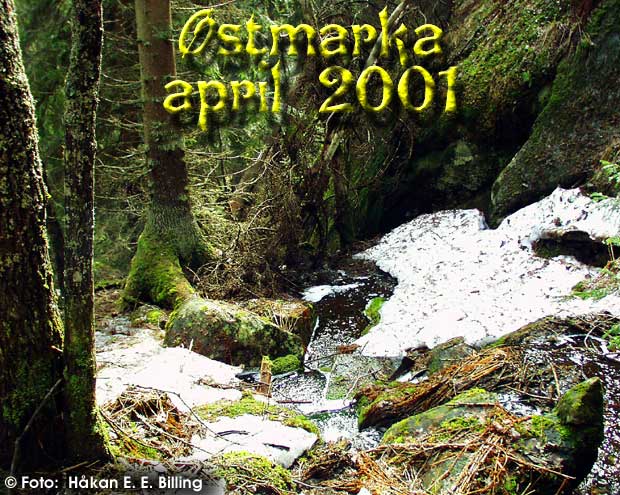 �stmarka, april 2001