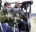 Knut og Ketil