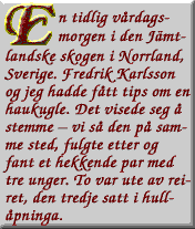 Tekst 1