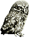 Ugle